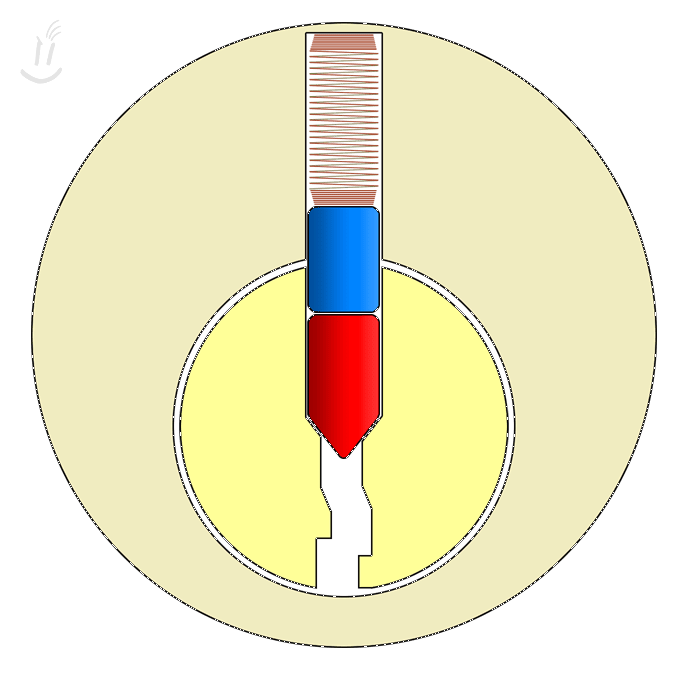 Original animated diagram from slide 19